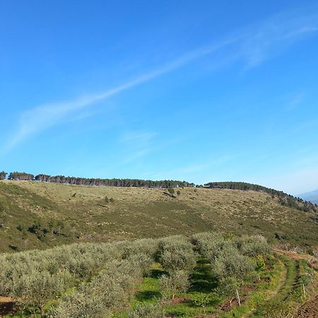 Vila Dean Berat Exteriör bild