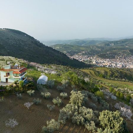 Vila Dean Berat Exteriör bild