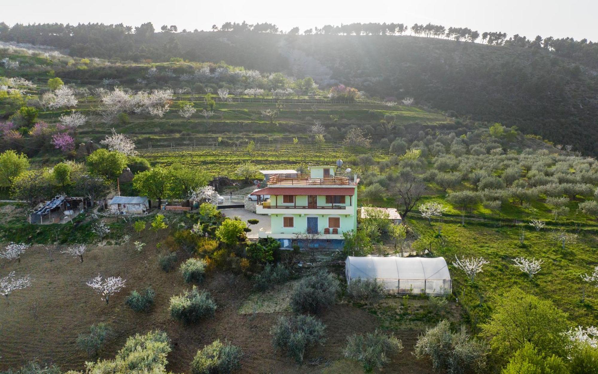 Vila Dean Berat Exteriör bild